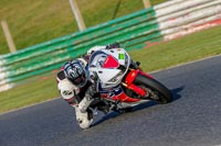 PJM-Wedding-Photography;enduro-digital-images;event-digital-images;eventdigitalimages;mallory-park;mallory-park-photographs;mallory-park-trackday;mallory-park-trackday-photographs;no-limits-trackdays;peter-wileman-photography;racing-digital-images;trackday-digital-images;trackday-photos